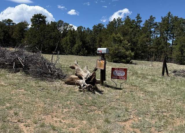Property at 1713 7th Trl, Texas Creek, CO 81223