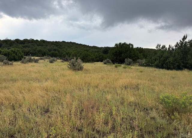 Property at TBD Reins Rd, Walsenburg, CO 81089