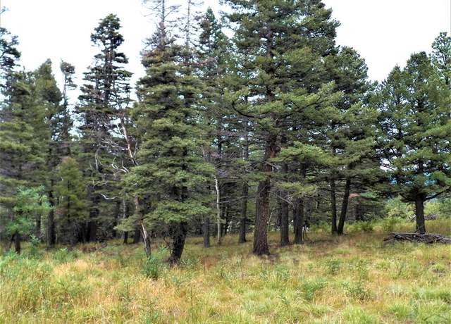 Property at TBD W Spanish Peaks Dr, Aguilar, CO 81020