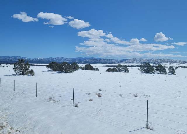 Property at TBDD County Rd 29, Cotopaxi, CO 81223