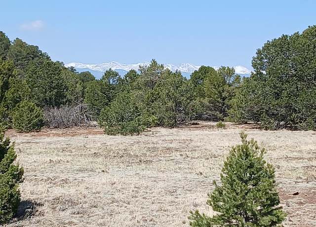 Property at 8650 Widow Woman Canyon Rd, Trinidad, CO 81082