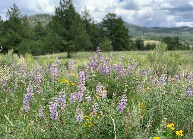 Property at TBD Schulze Ranch Rd, Westcliffe, CO 81252