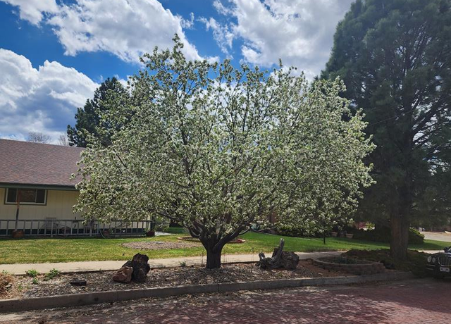 Property at 718 E Second St, Trinidad, CO 81082, 3 beds, 3 baths