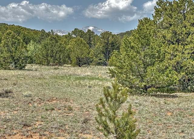 Property at TBD Lot 34 Corral North, Cotopaxi, CO 81223
