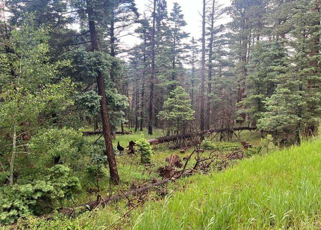 Property at TBD County Rd 406, Cuchara, CO 81055