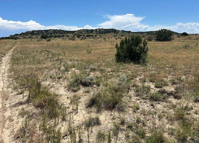 Property at Lot 17 Long Horn Rnch, Model, CO 81059