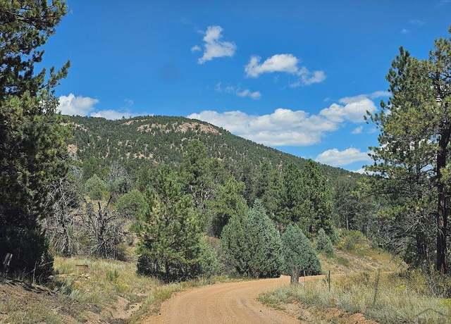 Property at 73 Alpine Way, Cotopaxi, CO 81223