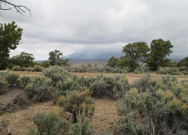 Property at 3306 No Site Address, Fort Garland, CO 81133
