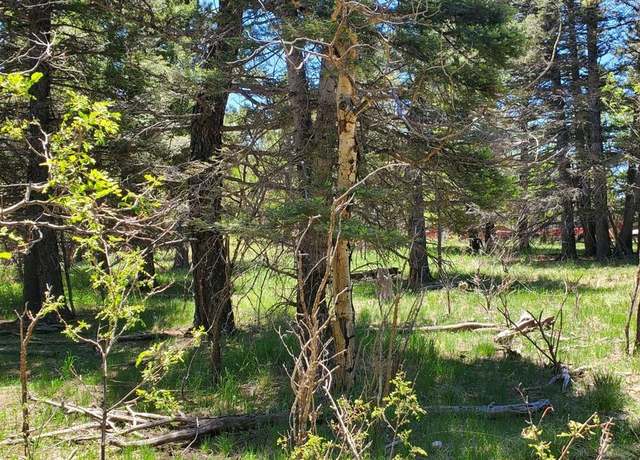 Property at 0 Spanish Peaks Dr, Aguilar, CO 81020