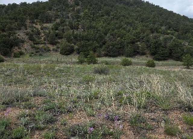 Property at 8099 County Rd 28, Cotopaxi, CO 81223