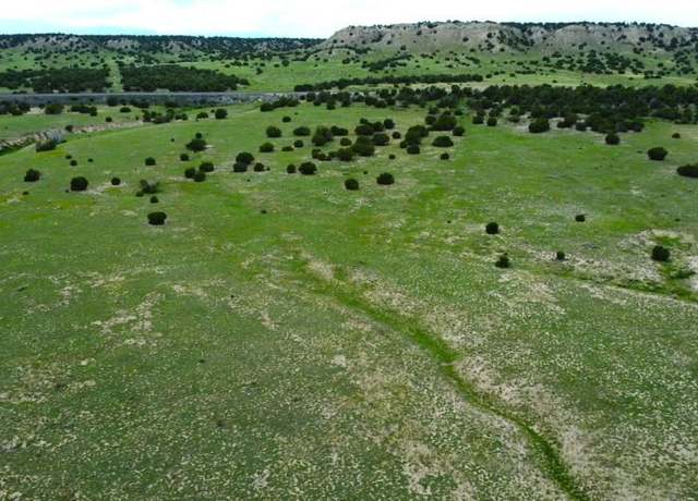 Property at Lot 110 Locomotive Ct, Rye, CO 81069