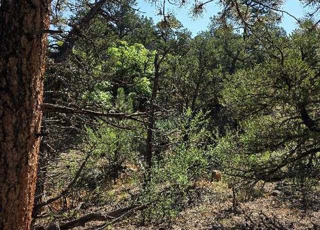 Property at 506 Kevin Dr, Cotopaxi, CO 81223