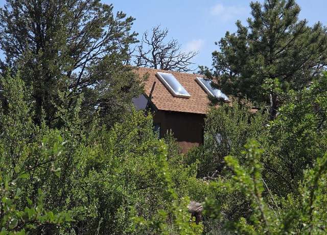 Property at 480 Kevin Dr, Cotopaxi, CO 81223