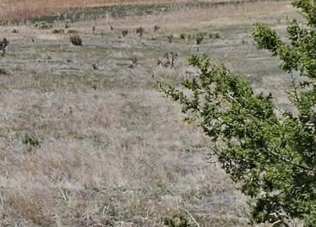 Property at Lot 47 Reno Rd, Pueblo, CO 81004