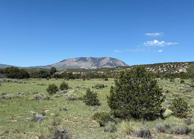Property at 27 Colorado Land And Grazing, Gardner, CO 81040