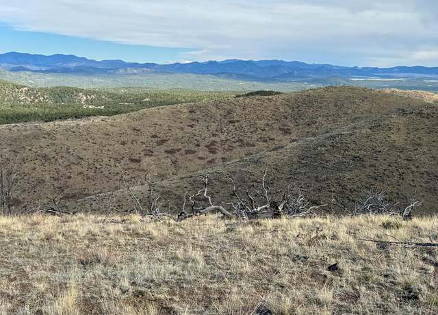 Property at TR39 &67 H Path, Cotopaxi, CO 81223