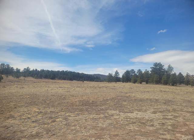 Property at 2450 Antelope Ln, Guffey, CO 80820