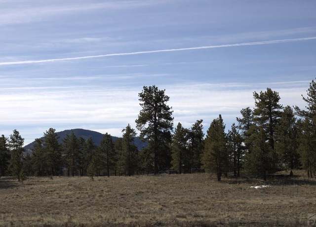 Property at 2450 Antelope Ln, Guffey, CO 80820