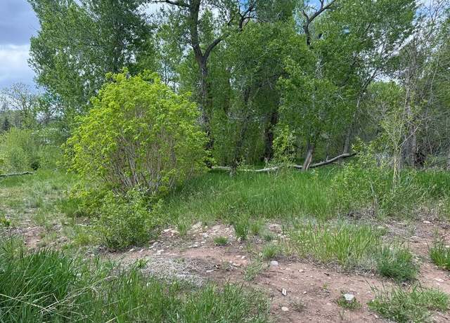 Property at Lot42/43 Garland St, La Veta, CO 81055