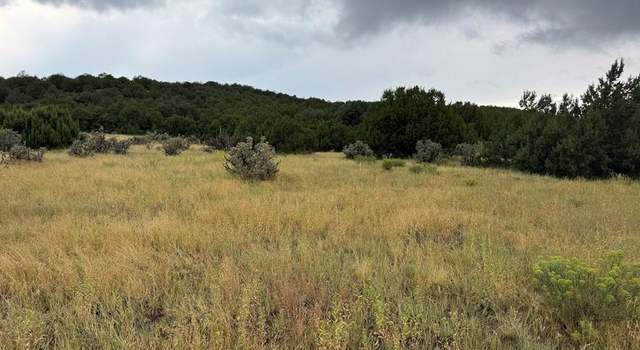 Photo of TBD Reins Rd, Walsenburg, CO 81089