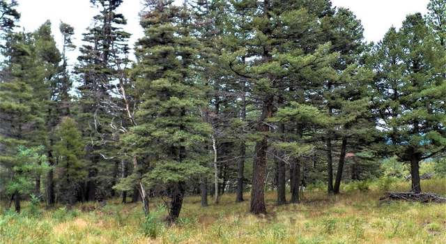 Photo of TBD W Spanish Peaks Dr, Aguilar, CO 81020