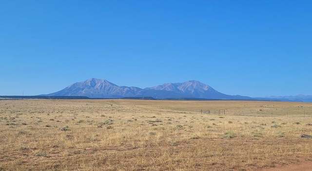 Photo of TBD County Rd 351, La Veta, CO 81055