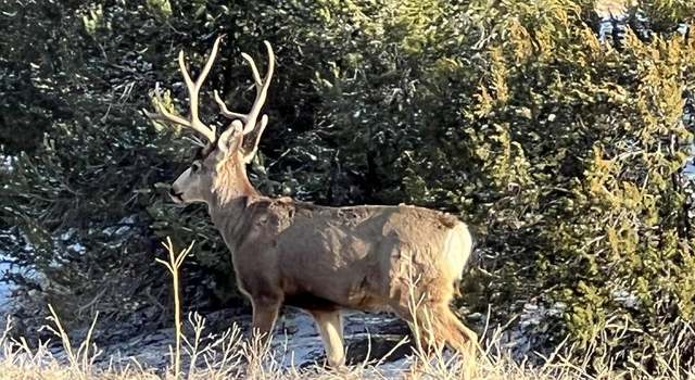 Photo of TBD Co Rd 54.2, Aguilar, CO 81020