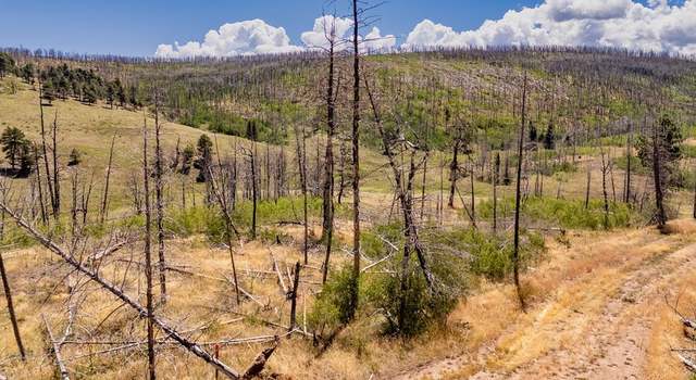 Photo of Lot 1534 Berger Ln, Fort Garland, CO 81133