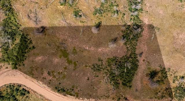 Photo of Lot 1644 Cary Ln, Fort Garland, CO 81133