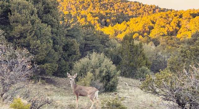 Photo of TBD Spanish Peaks Dr, Walsenburg, CO 81089
