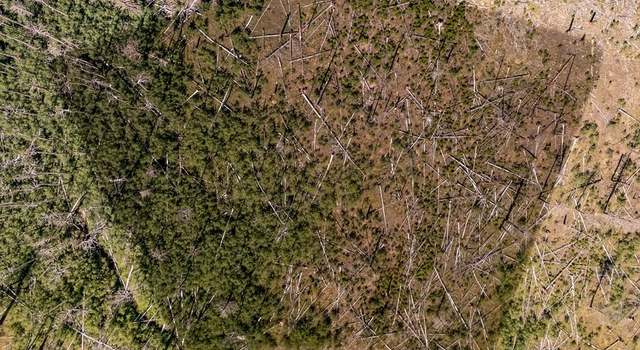 Photo of Lot 1925 Korlkoff Ln, Fort Garland, CO 81133