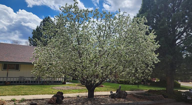 Photo of 718 E Second St, Trinidad, CO 81082