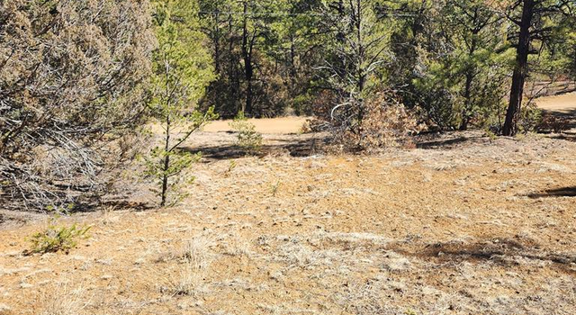 Photo of TBD Smyth's Trek, Weston, CO 81091