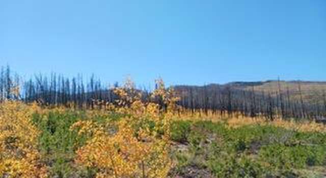 Photo of Lot 875 Ueda, Fort Garland, CO 81133