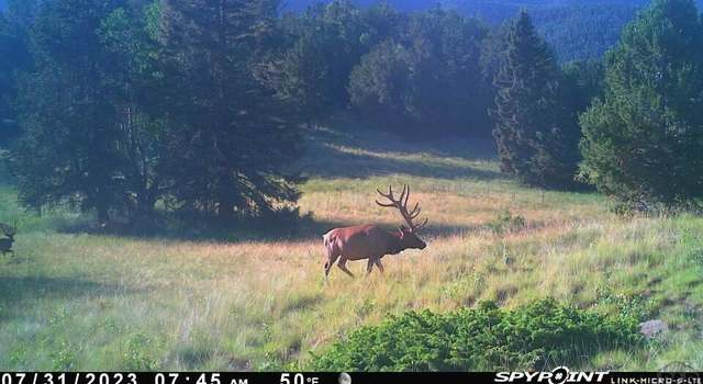 Photo of TBD County Rd 575.1, Gardner, CO 81040