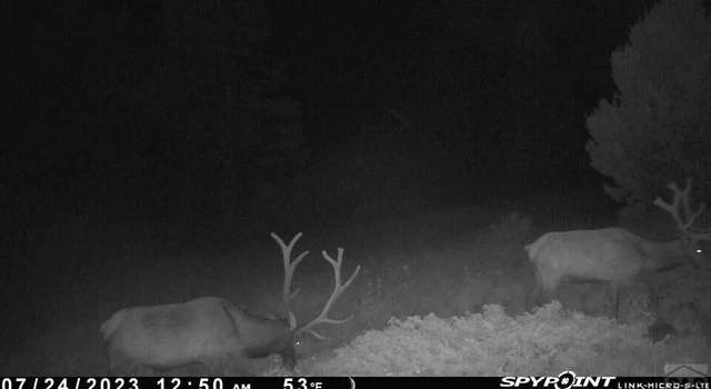 Photo of TBD County Rd 575.1, Gardner, CO 81040