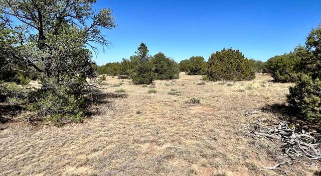 Photo of Lot 919 Los Vaqueros Cir, Walsenburg, CO 81089