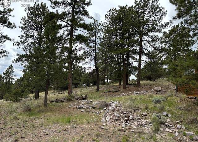 Property at 161 County Road 329a, Westcliffe, CO 81252, 1 bed, 1 bath