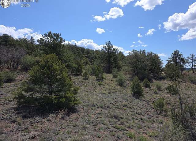Property at 615 Rosebush Rd, Canon City, CO 81212