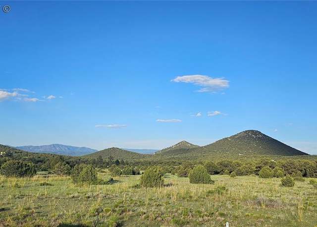 Property at 148 Mears Rd, Cotopaxi, CO 81223