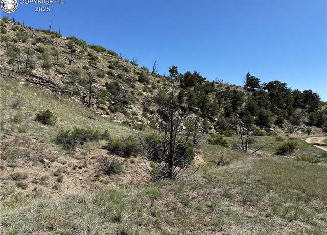 Property at TR-29 County Road 18x, Cotopaxi, CO 81223