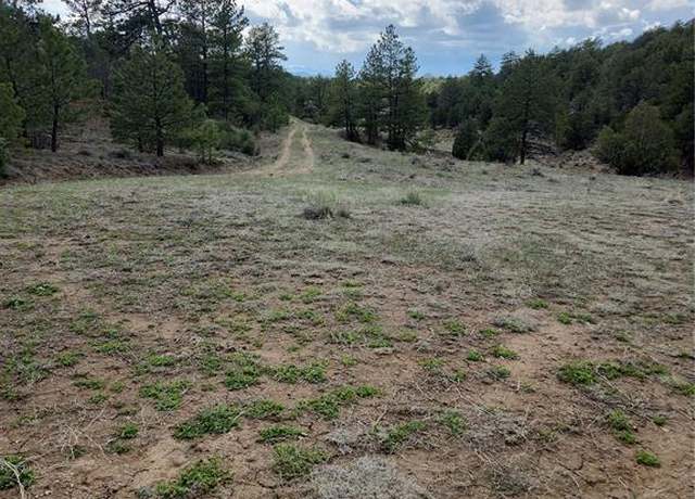 Property at 1212 40th Trl, Cotopaxi, CO 81223