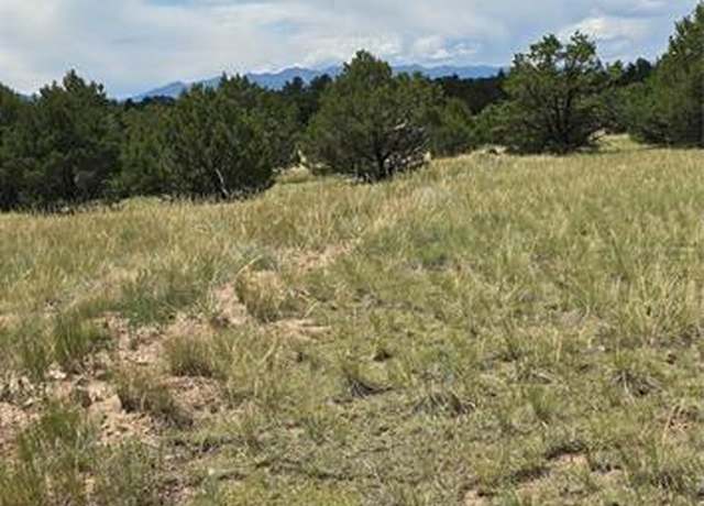 Property at 863 15th Trl, Cotopaxi, CO 81223