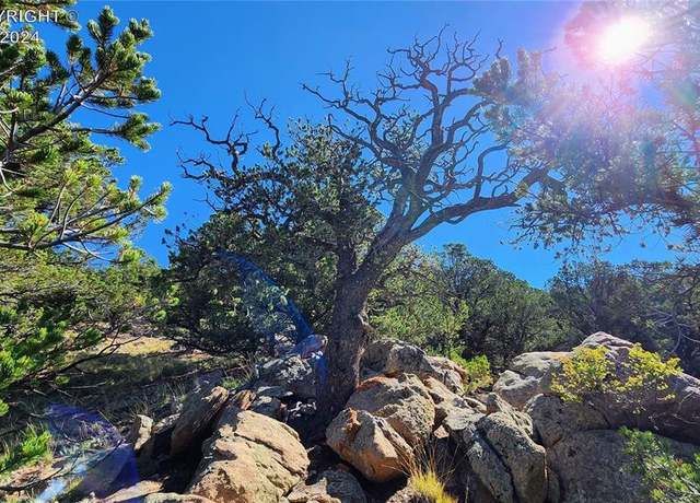 Property at Undisclosed address, Westcliffe, CO 81252