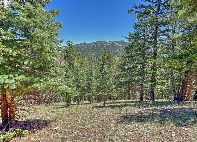 Property at 796 N Matterhorn Cir, Westcliffe, CO 81252