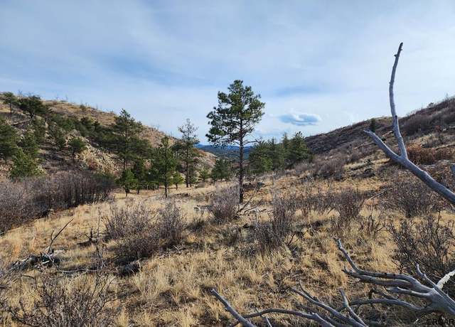 Property at 961 Shannon Trl, Cotopaxi, CO 81223