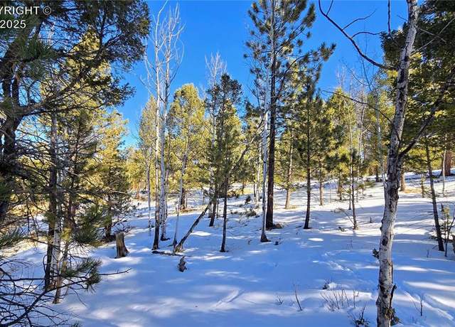 Property at Undisclosed address, Florissant, CO 80816
