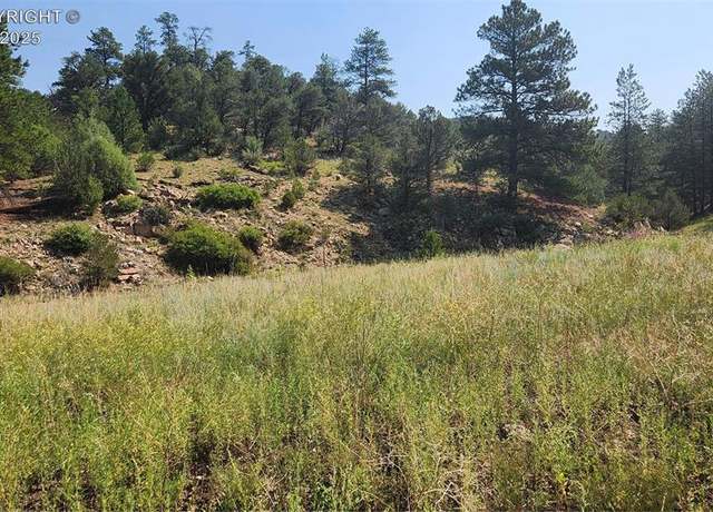 Property at 553 Coyote Run, Cotopaxi, CO 81223