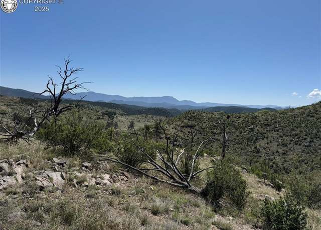 Property at TR-29 County Road 18x, Cotopaxi, CO 81223