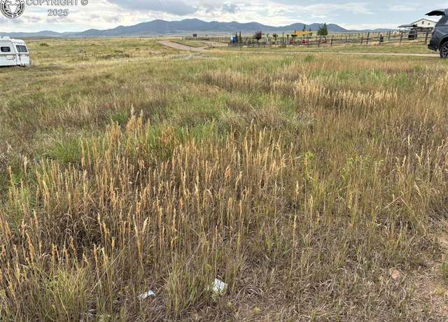 Property at 207 Butler St, Silver Cliff, CO 81252